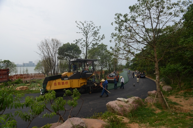 彩色沥青路.JPG